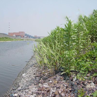 澳門河道綠格網